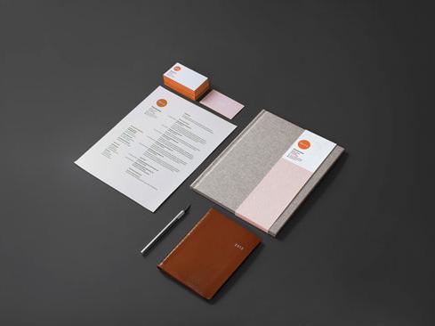 vi改良設(shè)計(jì) vi改良設(shè)計(jì)