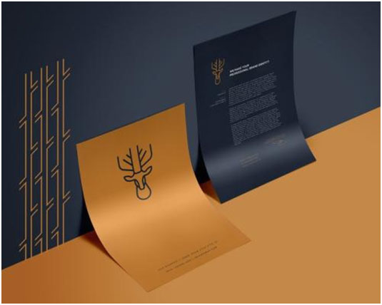 品牌設計收費大約是多少？品牌設計有什么用