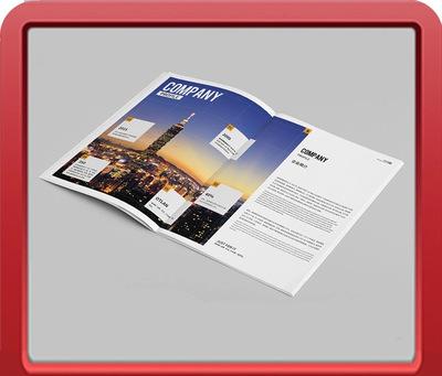 彩頁設計有哪些分類？