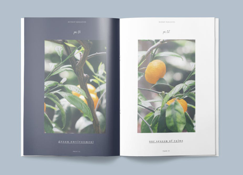 畫冊設(shè)計印刷多少錢？