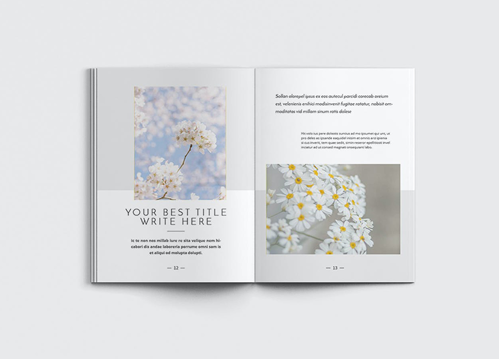 設(shè)計一本畫冊多少錢 設(shè)計一本畫冊多少錢