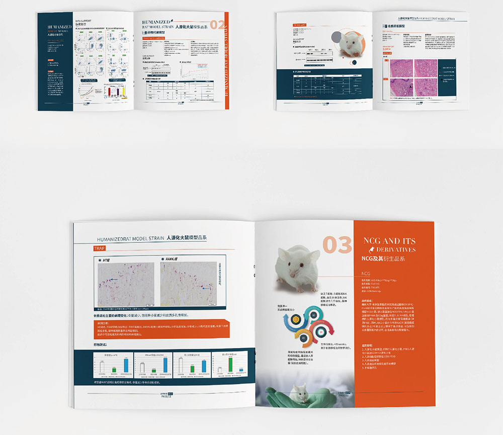 模型企業畫冊設計,模型企業畫冊設計公司