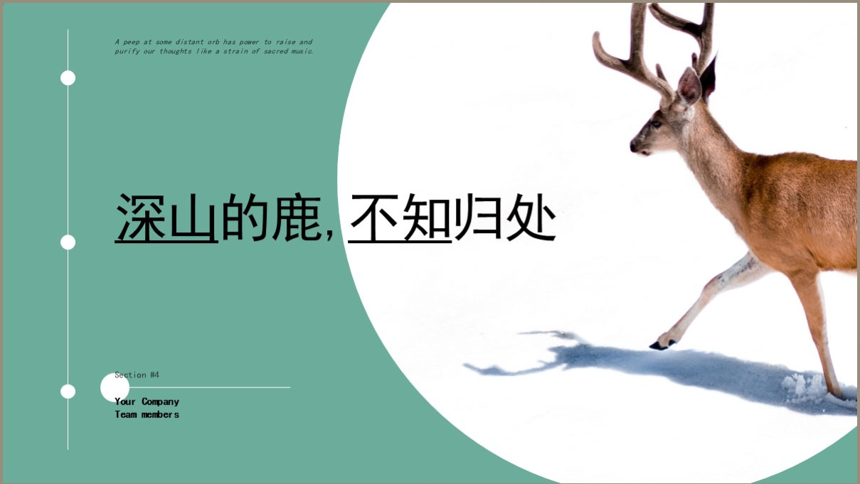 圓形畫冊設計,圓形畫冊設計公司 圓形畫冊設計,圓形畫冊設計公司