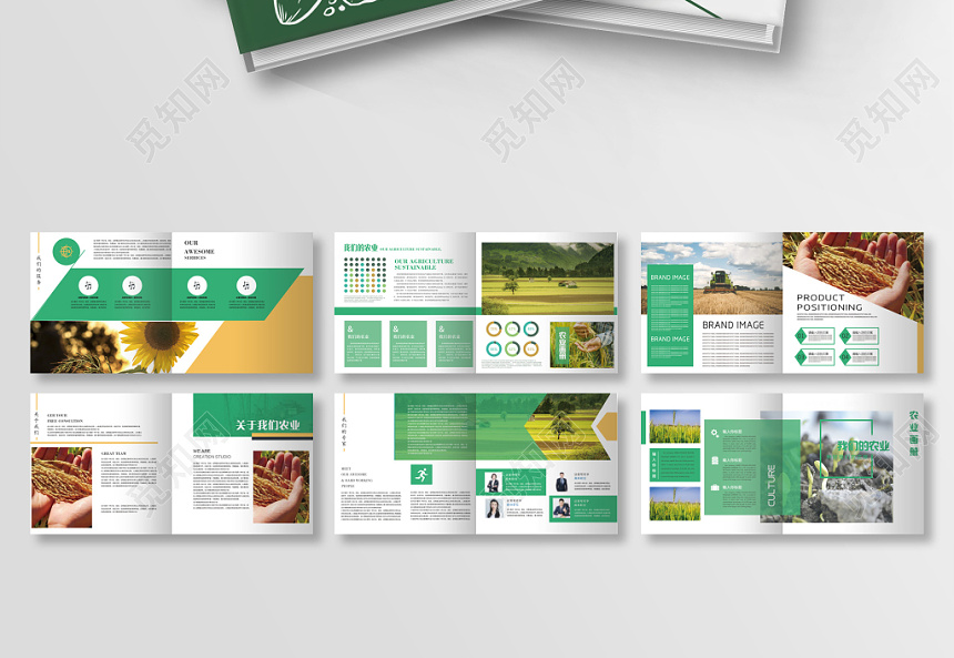 個(gè)性畫冊設(shè)計(jì)