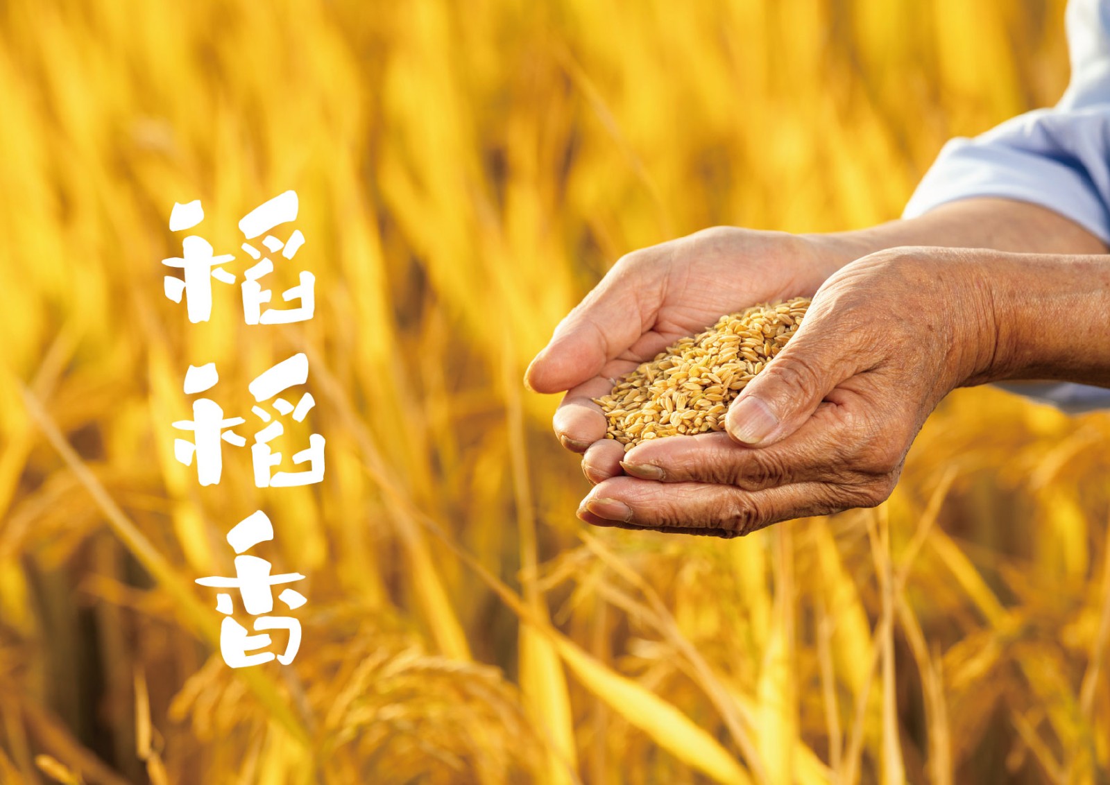 大米VI設計,農(nóng)產(chǎn)品VI設計,食品行業(yè)VI設計公司 大米VI設計,農(nóng)產(chǎn)品VI設計,食品行業(yè)VI設計公司