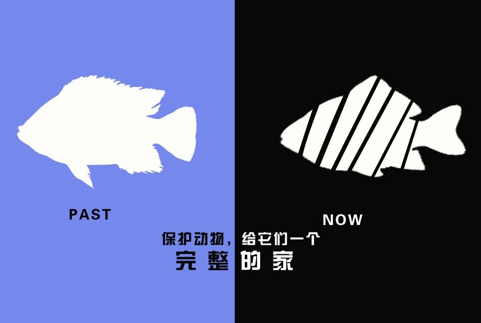 廣告設(shè)計制作有哪些要求？有哪些注意事項？