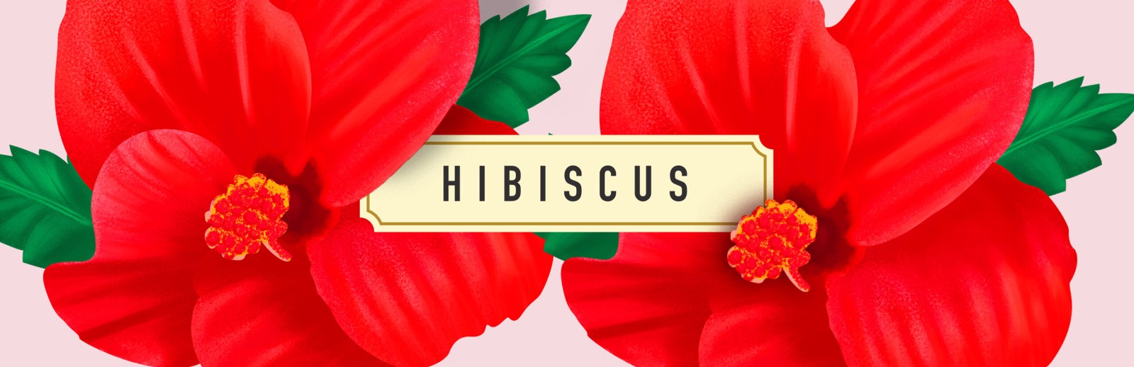 2022菊花茶包裝設計,菊花茶包裝設計案例,花茶包裝設計案例欣賞 2022菊花茶包裝設計,菊花茶包裝設計案例,花茶包裝設計案例欣賞