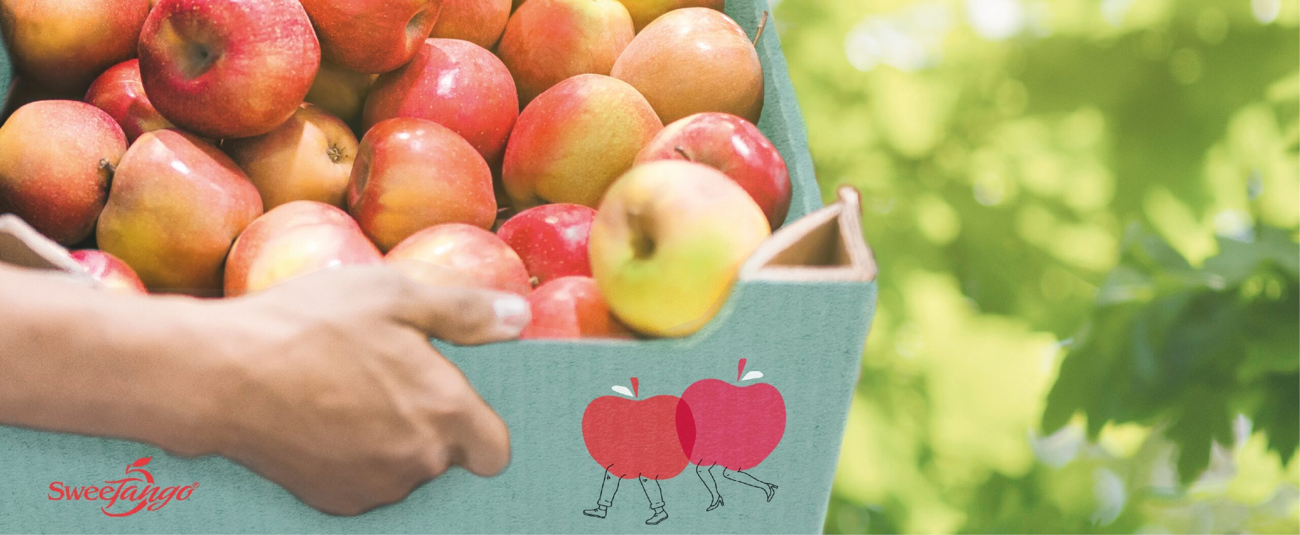 蘋果包裝設計,水果包裝設計公司 蘋果包裝設計,水果包裝設計公司