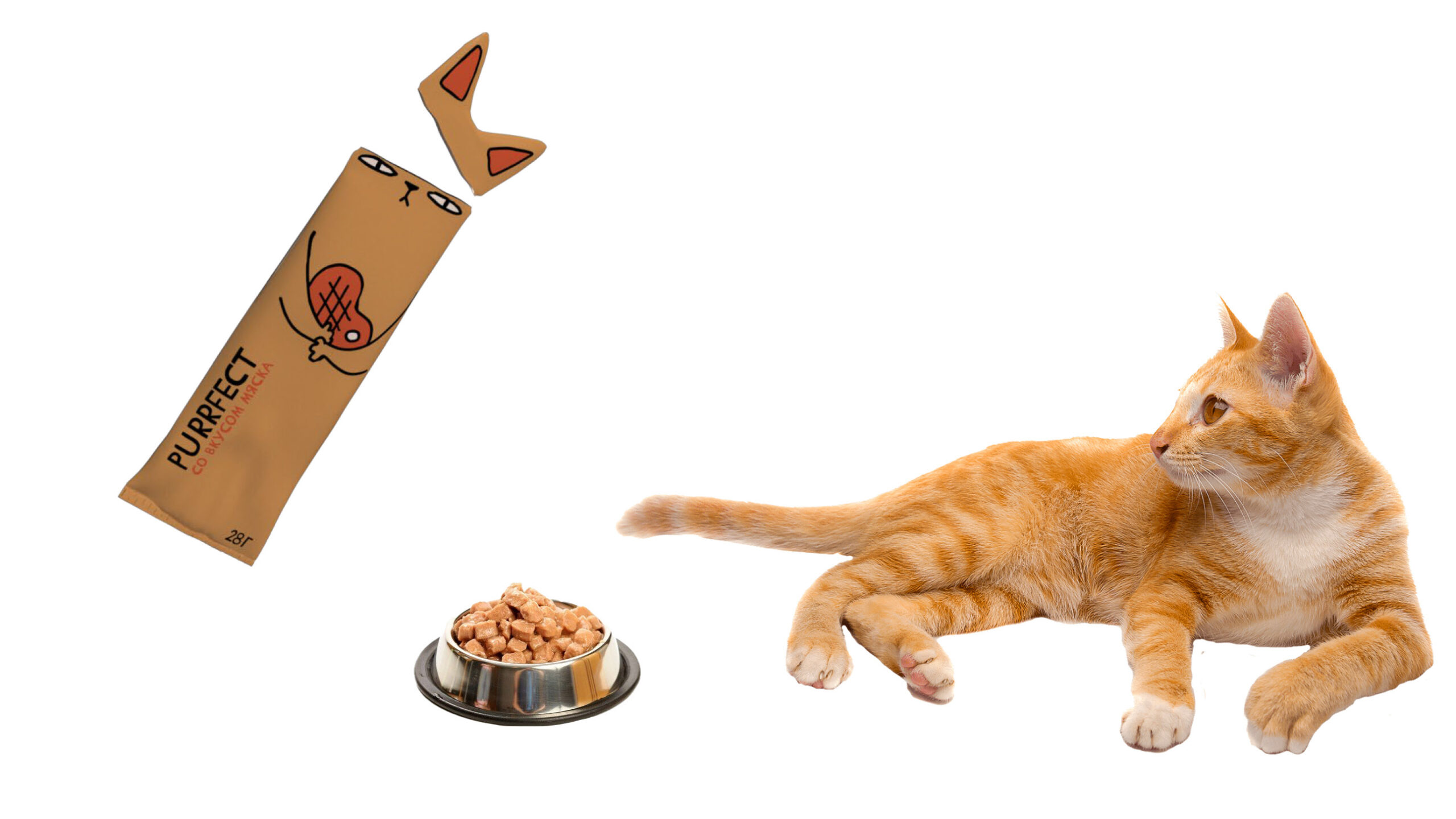 獨立裝貓糧包裝設(shè)計,便攜貓糧包裝設(shè)計公司 獨立裝貓糧包裝設(shè)計,便攜貓糧包裝設(shè)計公司