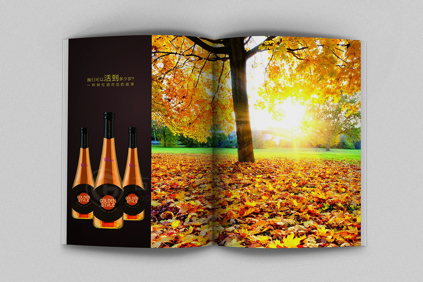 紅酒畫冊設(shè)計,紅酒畫冊設(shè)計公司 紅酒畫冊設(shè)計,紅酒畫冊設(shè)計公司