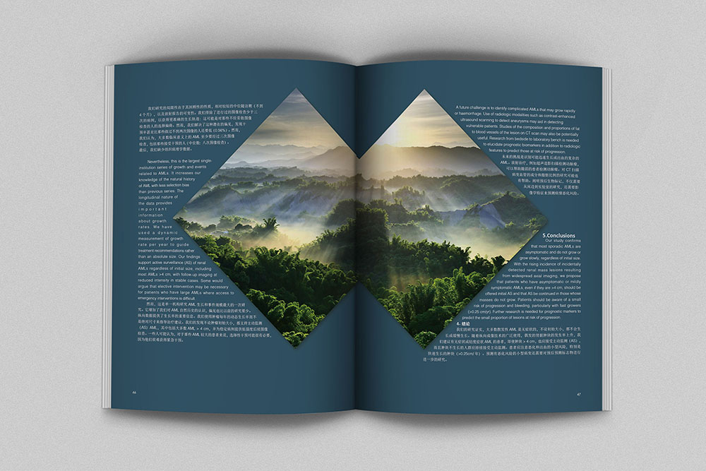 創(chuàng)意畫冊內(nèi)頁設(shè)計(jì),創(chuàng)意畫冊內(nèi)頁設(shè)計(jì)案例欣賞