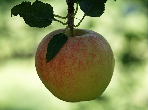 logo設計技巧,創意logo設計方法 logo設計技巧,創意logo設計方法