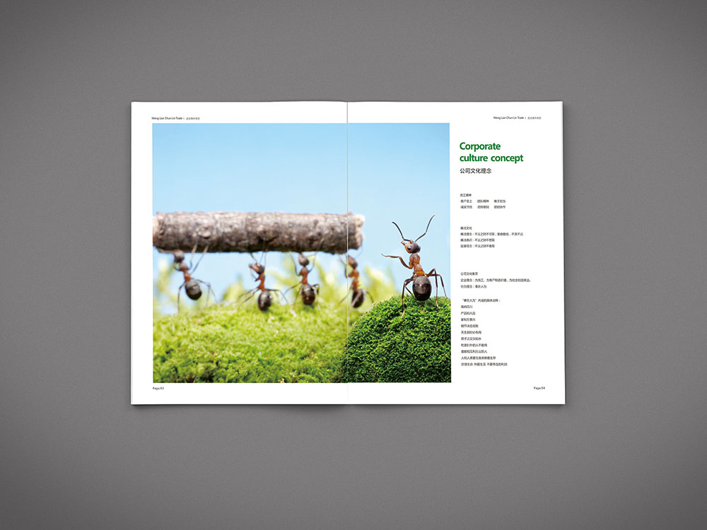 貿易行業(yè)畫冊設計,貿易行業(yè)畫冊設計公司