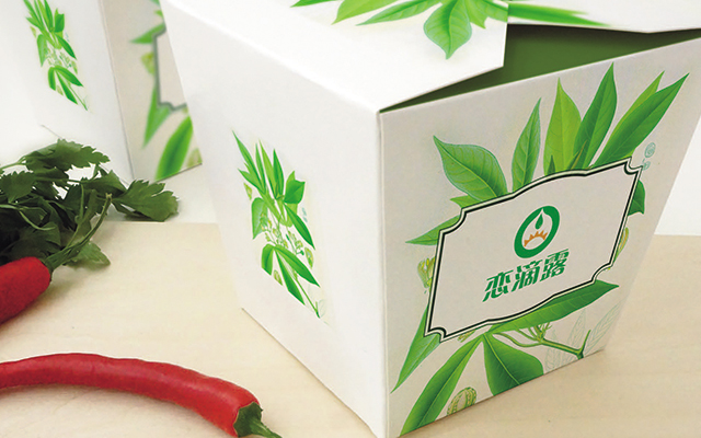 vi設(shè)計(jì)多少錢(qián)