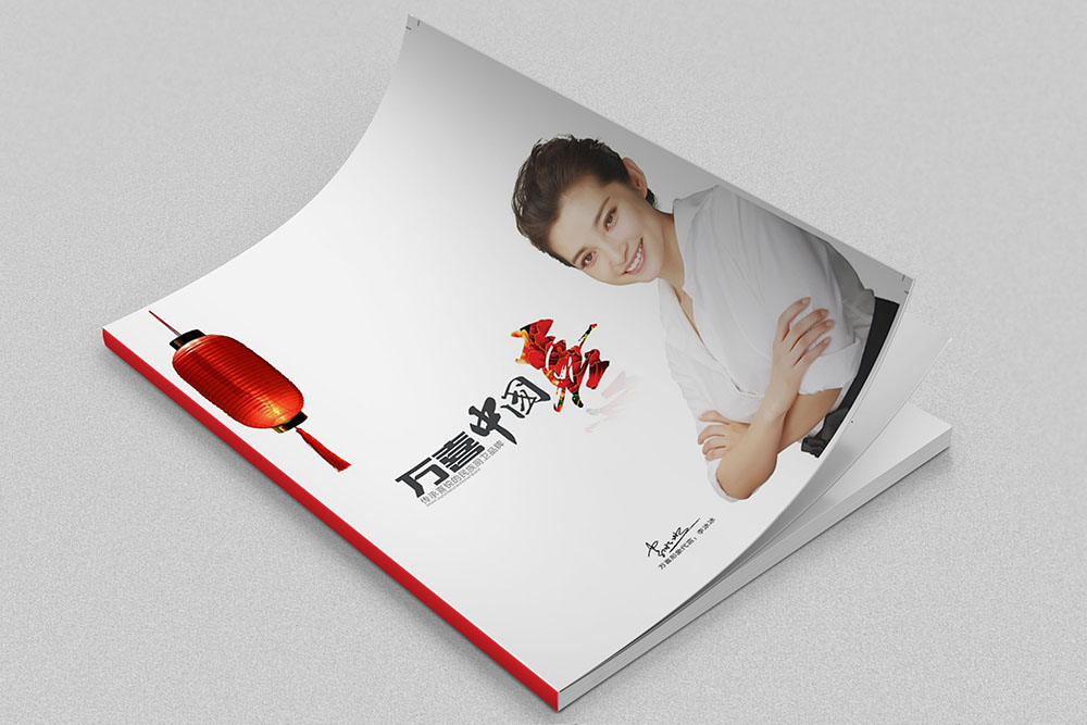 電器行業(yè)畫(huà)冊(cè)設(shè)計(jì),電器行業(yè)畫(huà)冊(cè)設(shè)計(jì)公司 電器行業(yè)畫(huà)冊(cè)設(shè)計(jì),電器行業(yè)畫(huà)冊(cè)設(shè)計(jì)公司