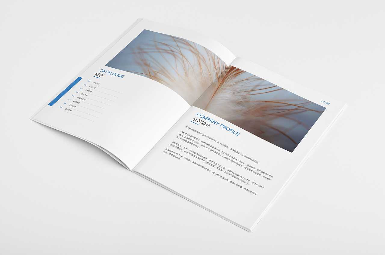 什么才是畫冊價值的正確衡量標準 什么才是畫冊價值的正確衡量標準