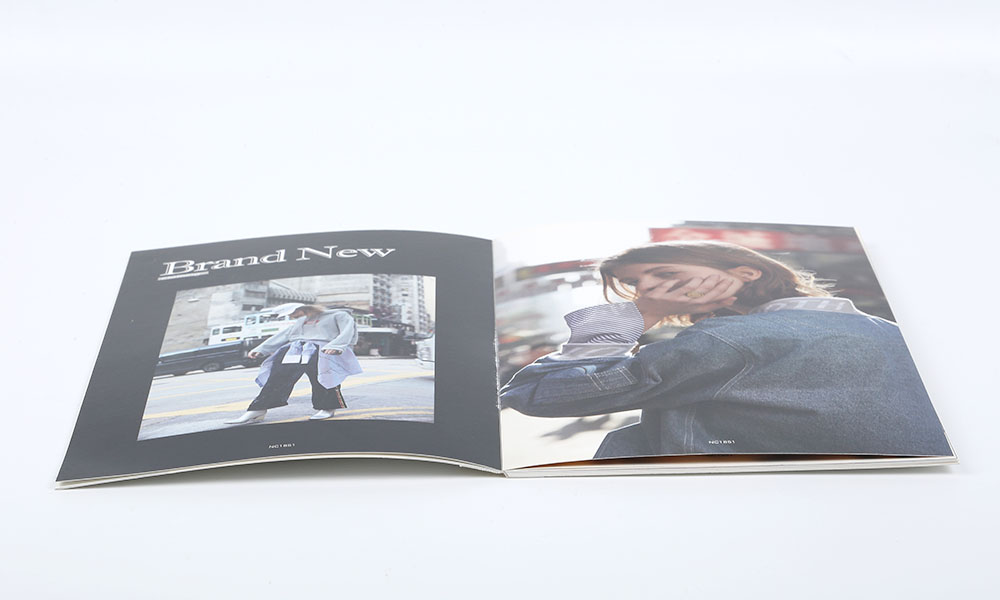 廣告宣傳冊字體多少錢?