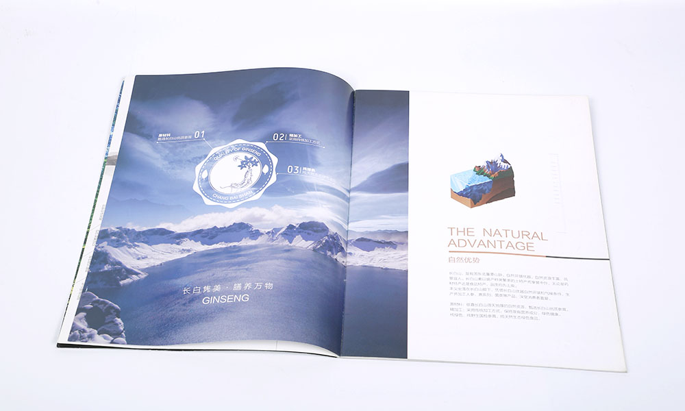 專業(yè)畫冊什么哪家便宜