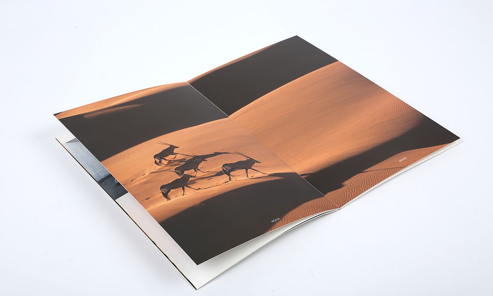 怎么做宣傳冊制作哪家好？